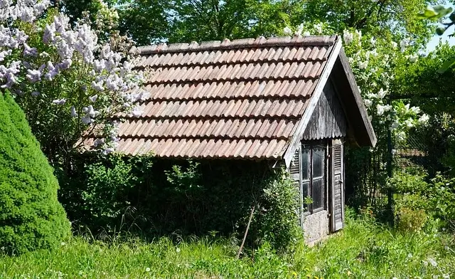 Ongedierte in en rondom de schuur.